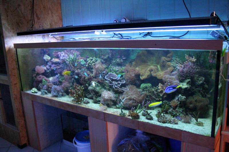 Killikus® Fotographie Killikus® Fotographie